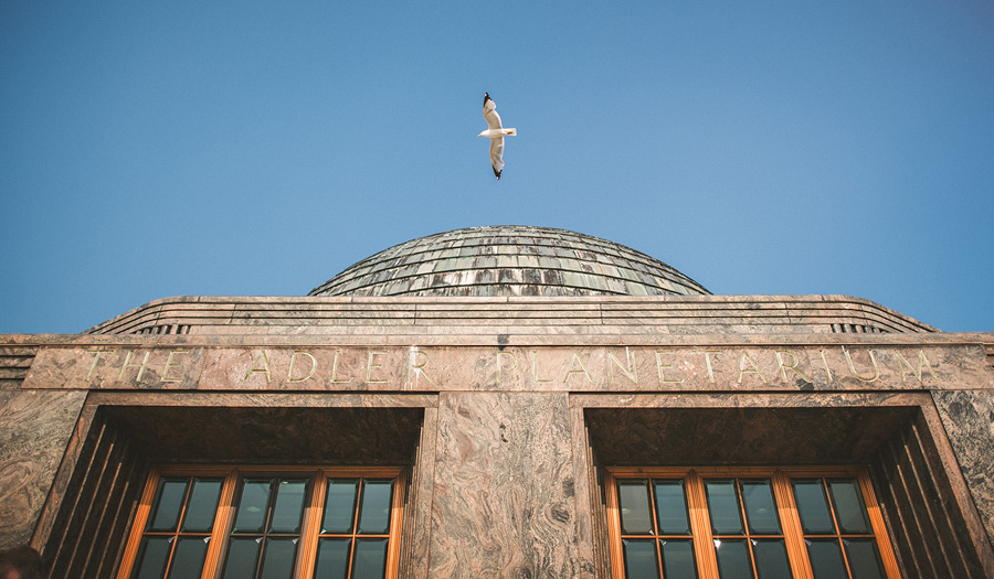 brid flying in into frame adler planetarium