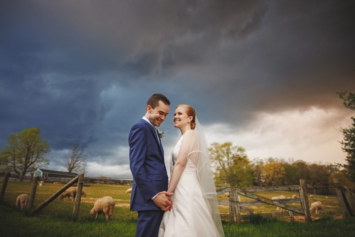 <strong>PACKAGE 1 | 4900</strong>