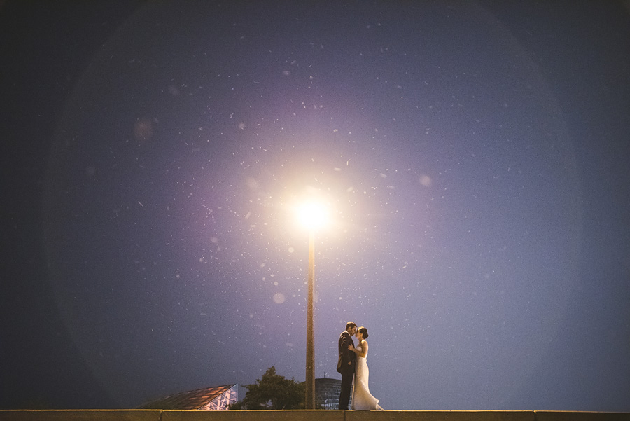 chicago adler planetarium wedding