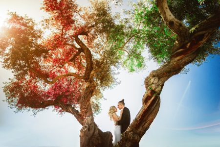 Yev + Shannon <br>Las Vegas Elopement