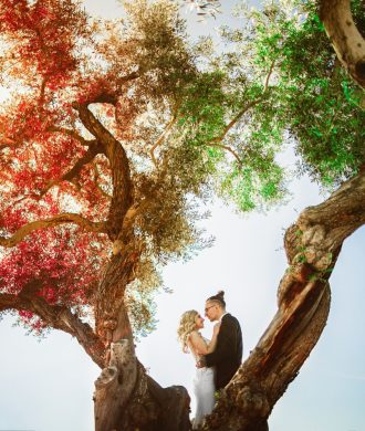 Yev + Shannon <br>Las Vegas Elopement