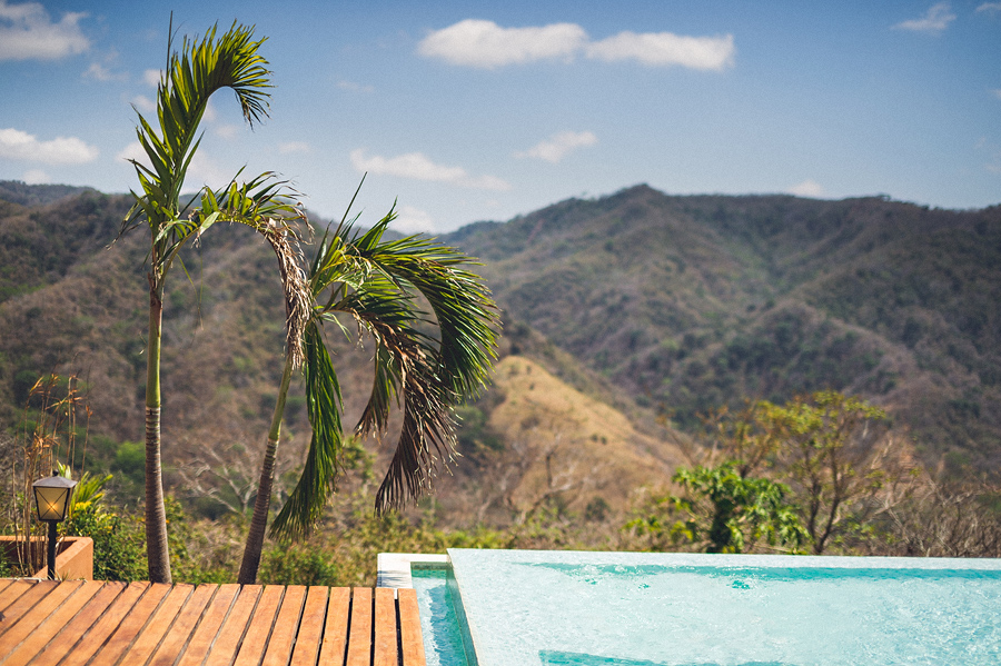storyboard005 infinitiy pool and palm tree